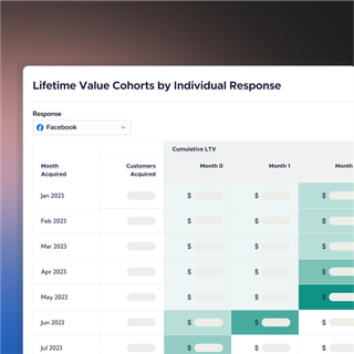 Lifetime value cohort overview